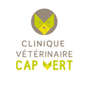 Logo Clinique Cap Vert