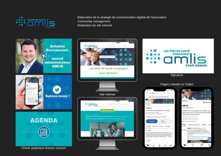 Portfolio Amlis